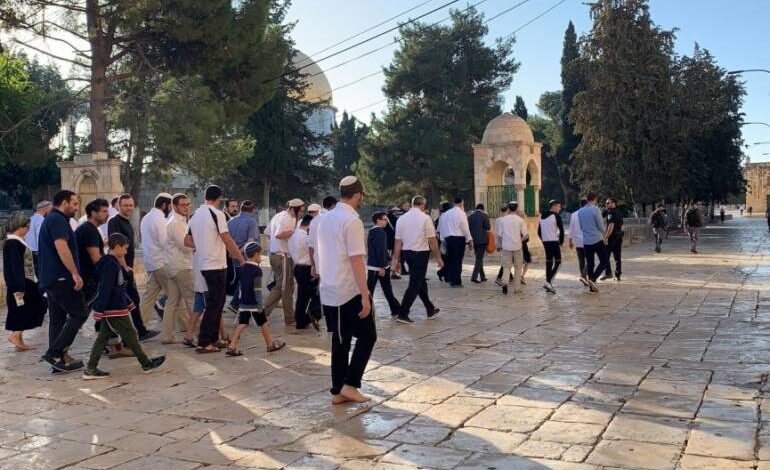 صورة في تصعيد جديد.. مستوطنون صهاينة يقتحمون المسجد الأقصى صبيحة يوم عرفة