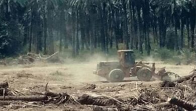 صورة شعبة زراعة خانقين: اندثار 80% من البساتين بسبب عمليات التجريف