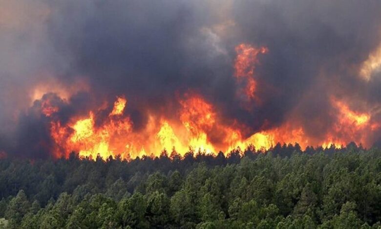 صورة مقتل 42 شخصًا بينهم 25 عسكريًا نتيجة الحرائق التي تجتاح الجزائر