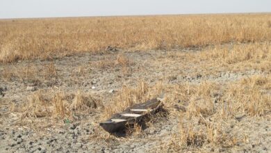صورة مسؤول حكومي في ميسان: نزوح معظم سكان الأهوار بسبب قطع إيران المياه عن العراق