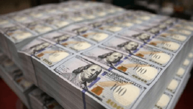 صورة مفوضية حقوق الإنسان تطالب بالقضاء على الفساد قبل استرداد الأموال المهربة