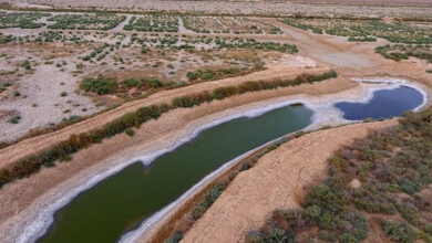 صورة العراق يقدم شكوى لمحكمة العدل الدولية ضد إيران بعد رفضها منحه حصته المائية