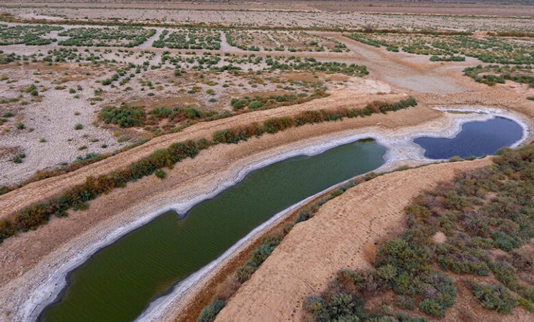 صورة العراق يقدم شكوى لمحكمة العدل الدولية ضد إيران بعد رفضها منحه حصته المائية
