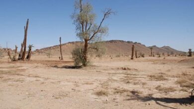 صورة خبراء البيئة يحذرون من كارثة ستضرب العراق بسبب شح المياه والجفاف