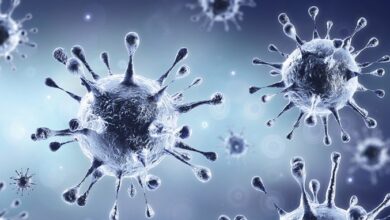 صورة وزارة الصحة الحالية في العراق تحذر من موجة رابعة لفيروس كورونا مع دخول فصل الشتاء