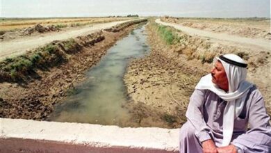 صورة برنامج الأغذية العالمي: قلة سقوط الأمطار والجفاف الذي عانى منه العراق خلال الموسم الماضي هو الأول من نوعه منذ 40 عامًا