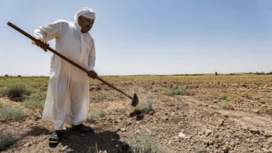 صورة وزارة الزراعة الحالية: الدعم المقدم للفلاحين أقل من المطلوب ما أثر سلبًا على القطاع الزراعي