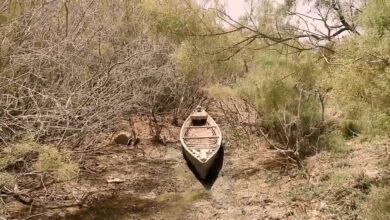 صورة وزارة الموارد المائية في العراق: إيران مسؤولة عن الجفاف بالأهوار بعد تحويلها مسار الأنهار