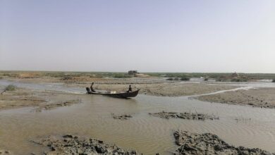 صورة محافظة ميسان تحذر من كارثة بيئية بسبب انخفاض الإطلاقات المائية