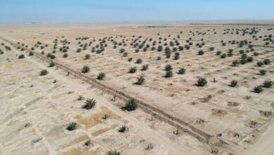 صورة صحيفة الفايننشال تايمز: العراق من أكثر البلدان تأثرًا بالتغيرات المناخية في العالم