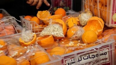 صورة السلطات اللبنانية تعلن ضبط 9 ملايين حبة مخدرة قبل تهريبها إلى دول الخليج