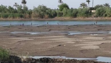 صورة وزارة الزراعة الحالية في العراق: تناقص واردات المياه بدأت تؤثر على الثروة السمكية