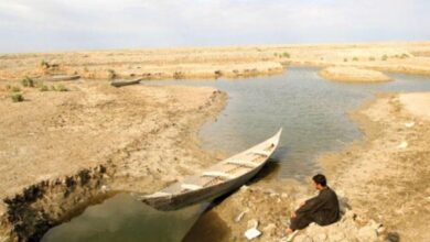 صورة المركز الوطني لإدارة الموارد المائية: هور الحويزة يعاني من شح المياه منذ 8 أشهر