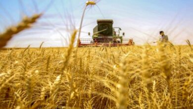 صورة رئيس اتحاد الجمعيات الفلاحية: العراق على أبواب نزوح كبير إذا لم يتم إنقاذ المزارعين