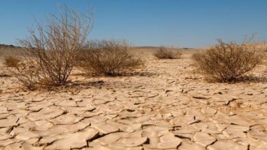 صورة موقع ميدل إيست آي: موجات الحر والجفاف في العراق قد تتسبب بفوضى تجبر العائلات على النزوح