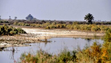 صورة اتحاد الجمعيات الفلاحية في العراق يحذّر من اتساع هجرة الفلاحين من الريف إلى المدينة