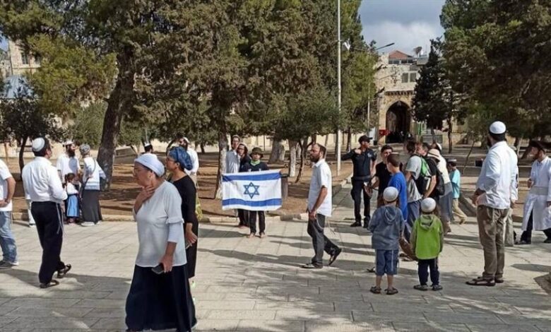 صورة مستوطنون صهاينة يقتحمون المسجد الأقصى ويرفعون أعلام الكيان المحتل