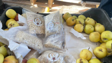 صورة ميليشيا في الحشد متورطة بتهريب ثلاثة ملايين حبة مخدرة من سوريا