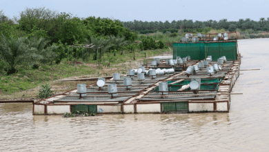 صورة وزير الموارد المائية: مئات الآلاف من أحواض الأسماك غير مجازة مقامة على الأنهر