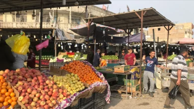 صورة اتحاد الجمعيات الفلاحية: الإنتاج المحلي لا يكفي لسد حاجة السوق