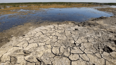 صورة وزارة الموارد المائية: الجفاف لا يزال يفرض نفسه وأمطار السنة الحالية لا تكفي
