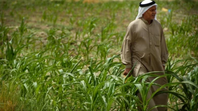 صورة وزارة الزراعة تحذر من عرقلة تخصيص 4 تريليونات دينار في الموازنة