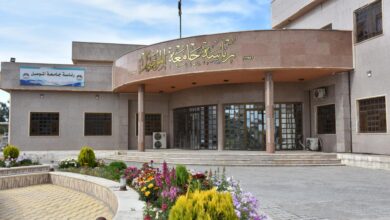 صورة التعليم النيابية: هناك تدخلات سياسية باختيار رؤساء الجامعات في نينوى