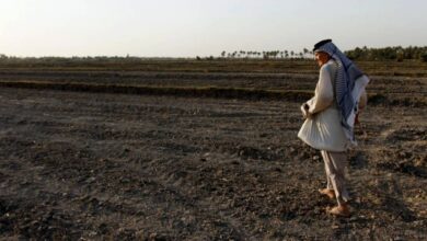 صورة وزارة الزراعة تلغي خطة الموسم الصيفي في الأنبار وتوصي بترك المياه للشرب