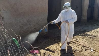 صورة وزارة الصحة: ارتفاع عدد الإصابات بمرض الحمى النزفية إلى 119 إصابة و18 وفاة