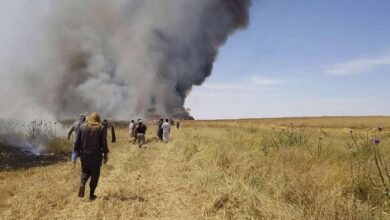 صورة حرائق المحاصيل الزراعية تهدد الأمن الغذائي في العراق