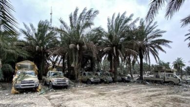 صورة تجريف البساتين باب تمويل للميليشيات وغسيل الأموال