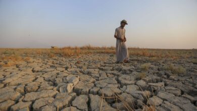 صورة الزراعة في العراق تترنح على وقع الإهمال الحكومي وتغير المناخ