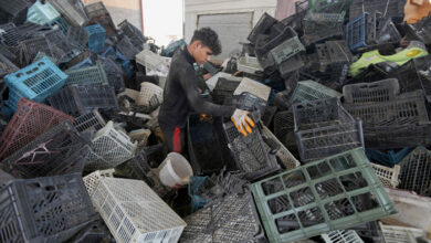 صورة استمرار سياسة التجهيل للمجتمع العراقي بوجود 11 مليون أمّي