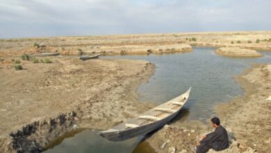 صورة لا خيارات ولا خطط حكومية لمواجهة التصحر والجفاف في العراق