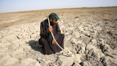 صورة تحذيرات من تزايد هجرة سكان مناطق الأهوار بسبب أزمة المياه والتغيرات المناخية