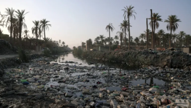 صورة مديرية بيئة المثنى: مياه الفرات أصبحت ملوثة وغير صالحة للاستهلاك البشري