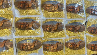 صورة القوات الحكومية تخشى الاقتراب من كبار رؤوس تجار الكبتاغون