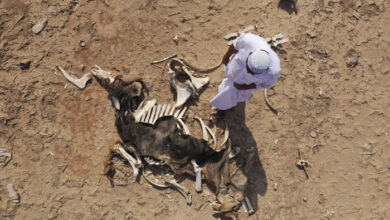 صورة سكان الأهوار يسألون بعد أن جف الماء: أين نذهب الآن؟