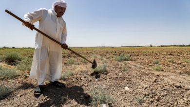صورة زراعة ميسان: الخطة الزراعية الصيفية ألغيت بالكامل وحرمان 17 ألف مزارع من مزاولة عملهم