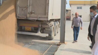 صورة وزارة الزراعة: الفساد يلحق أضرارًا كبيرة بمحاصيل الفلاحين في أربيل