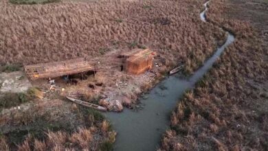 صورة أهوار العراق عطشى وسط لا مبالاة حكومية