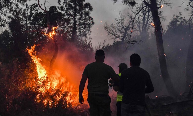 صورة إصابة 150 شخصًا باندلاع الحرائق في عدة مناطق شمال غربي تونس