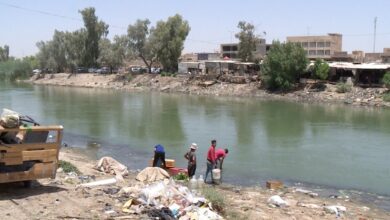 صورة معهد القرن الأمريكي: التلوث البيئي تسبب بزيادة درجات الحرارة وإصابات السرطان