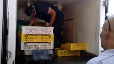 صورة انخفاض أسعار الدجاج في كردستان العراق بسبب توقف تصديره لبقية المحافظات