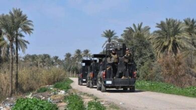 صورة جهات متنفذة تستغل السلاح والقانون للاستيلاء على الأراضي الزراعية