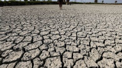 صورة حكومة الإطار تستعين بـ “الخزين الميت لبحيرة الثرثار” للتغطية على تداعيات الجفاف