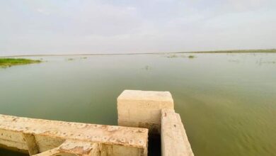 صورة مخزون بحيرة حمرين في ديالى ينخفض بنسبة 80 بالمائة بسبب الجفاف