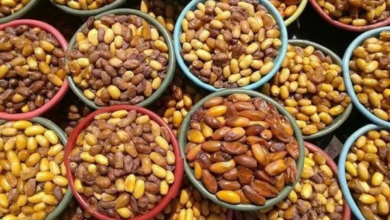 صورة وزارة الزراعة: ارتفاع أسعار التمور راجع إلى زيادة الطلب عليها