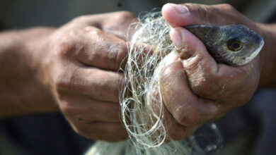 صورة أحزاب وميليشيات متنفذة تدير لصوص المياه في العراق