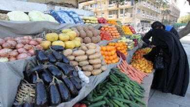 صورة المزارعون يستنكرون فتح باب الاستيراد للمحاصيل المتوفرة في العراق